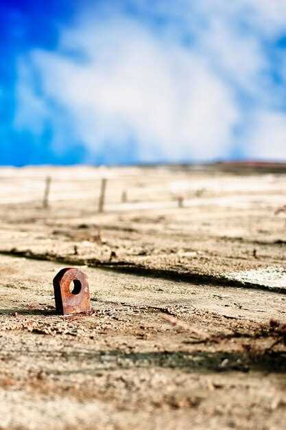 Права и обязанности страхователя при наступлении страхового случая