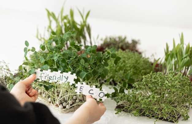 Рецепты осеннего стола с местными суперфудами