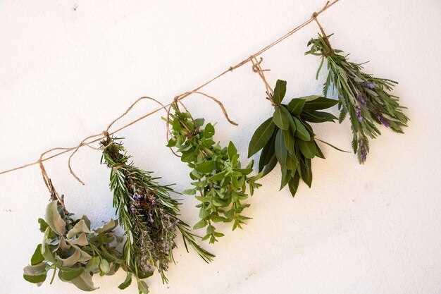 Рецепты заготовок из зелени на зиму