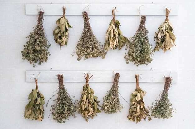 Как правильно сушить травы и сохранять их аромат