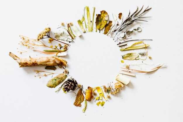 Польза сушеных трав: что нужно знать о травах для чая