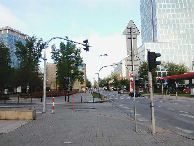 Влияние светофоров на экологическую ситуацию в городе