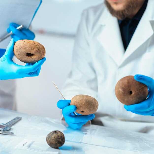 Обязанности и функции таможенных органов в обеспечении законности на границе