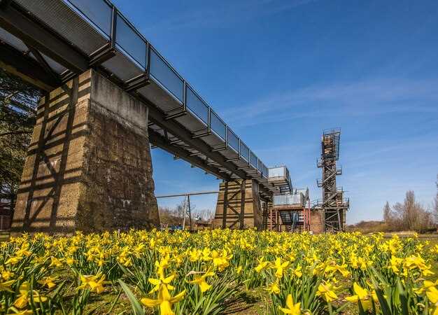 Применение тампонажного цемента в бурении скважин