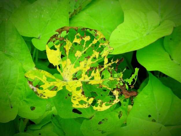 Новые функции Taproot: возможности 2023 года для защиты конфиденциальности