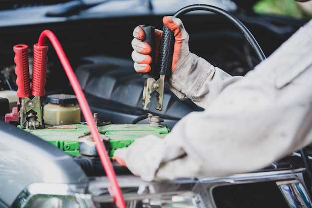 Обзор лучших автохимических средств для аккумуляторов
