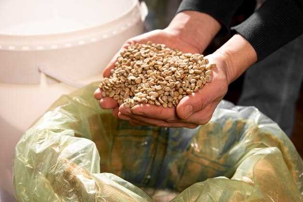 Практическое руководство по техникам dry hopping для начинающих