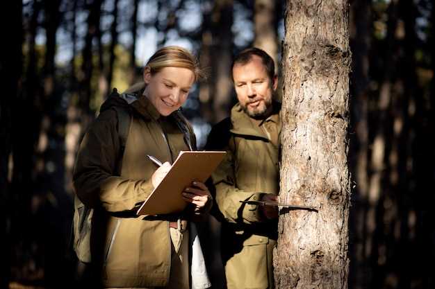 Технологии мониторинга и управления состоянием лесных ресурсов