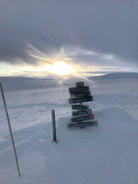 Инновационные технологии для анализа состояния вечной мерзлоты