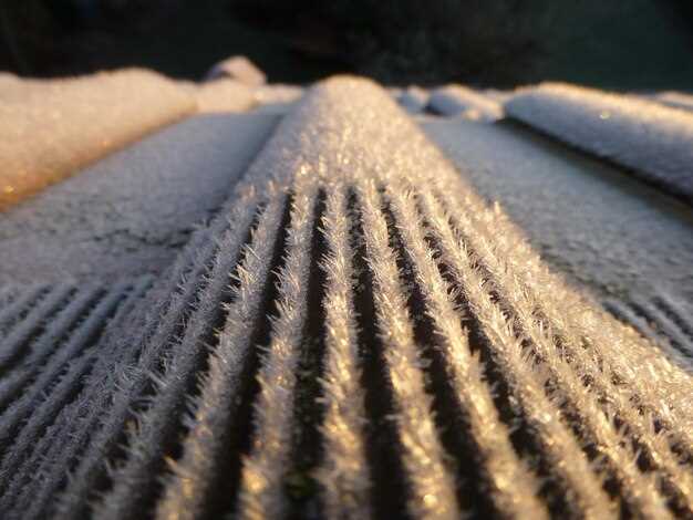 Особенности выбора грунта для послойной укладки