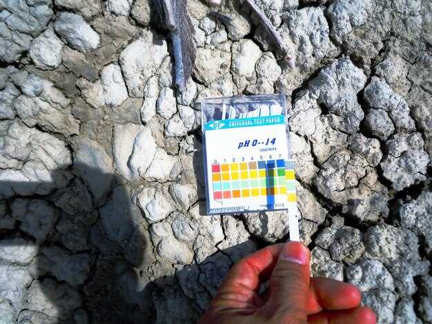 Способы контроля качества уплотнения на строительных площадках