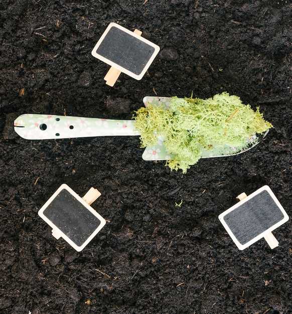 Влияние типа грунта на выбор технологий строительства