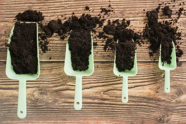 Тип грунта и его роль в landscape design