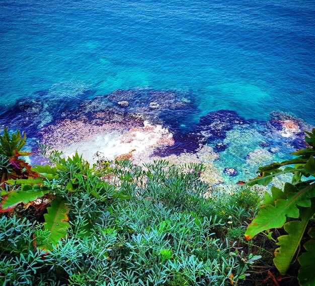 Лучшие экзотические моря с прозрачной водой