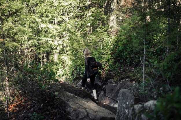 Как установить моды для ARK: пошаговая инструкция