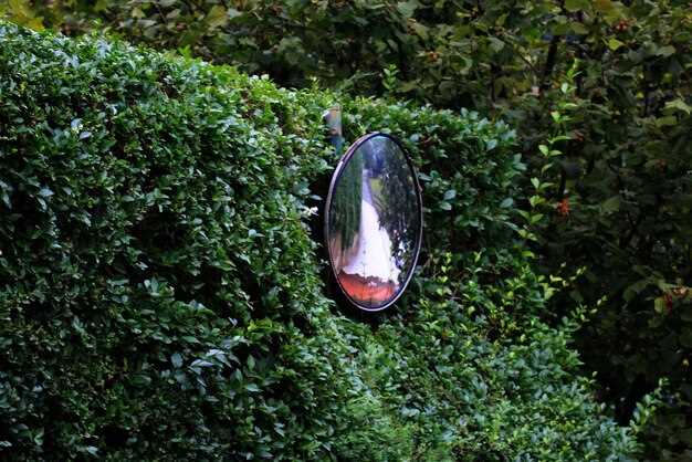 Лучшие практики для успешного ландшафтного дизайна