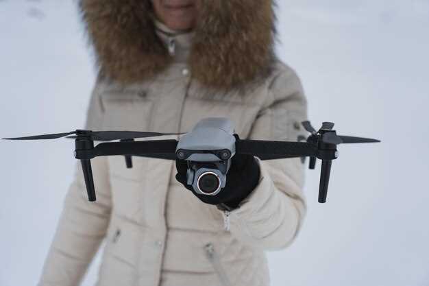 Где и как купить популярные гражданские дроны