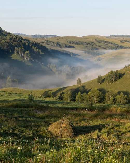 Влияние загрязнения воздуха на здоровье и жизненные условия