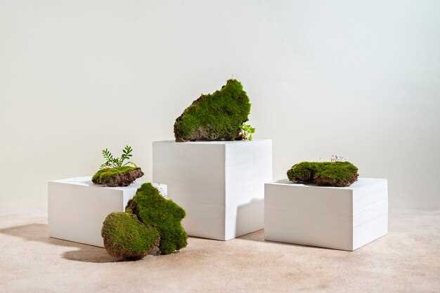 Лучшие комнатные растения-очистители для здоровой атмосферы