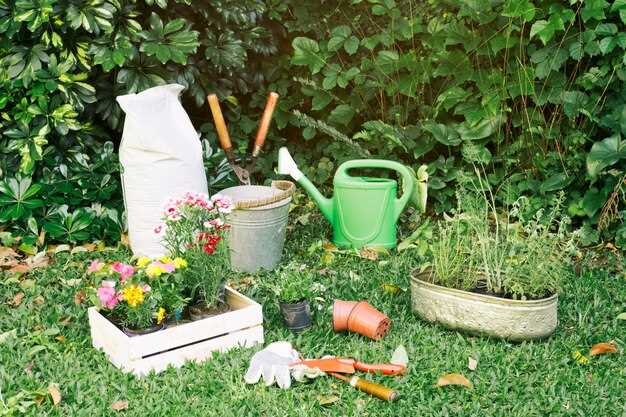 Идеи для stylish garden design в вашем саду