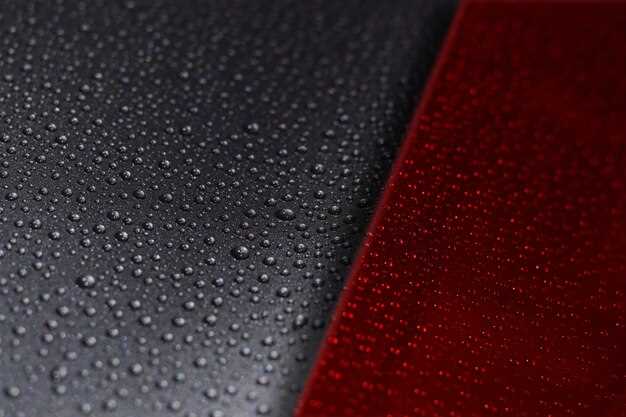 Как выбрать антигравийное покрытие для вашего автомобиля