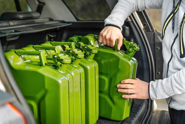 Лучшие автоаксессуары для экотранспорта: наш рейтинг