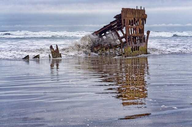 Методы предсказания цунами и оценка риска