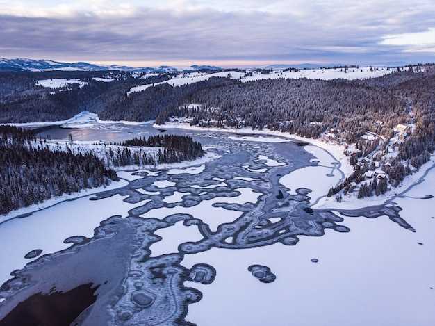 Флора и фауна водных ресурсов тундры