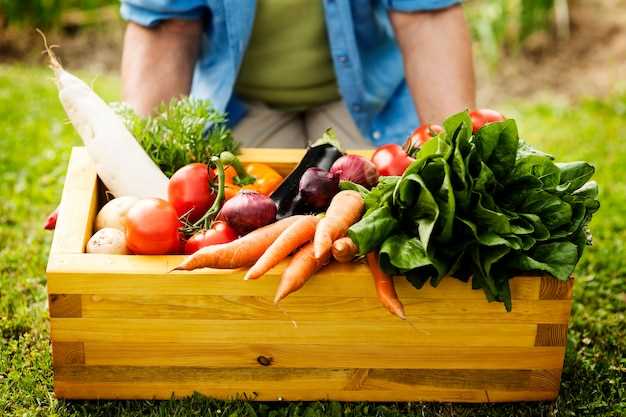 Выбор удобрений для овощных культур