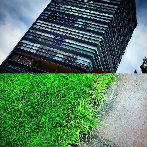 Как проектировать умные здания для минимизации экологического воздействия