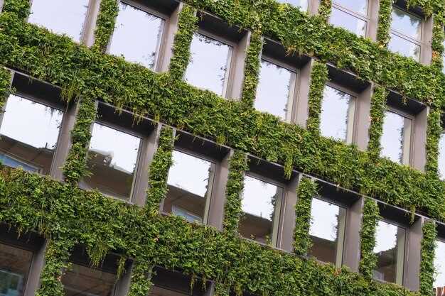 Выбор экологически чистых материалов для строительства