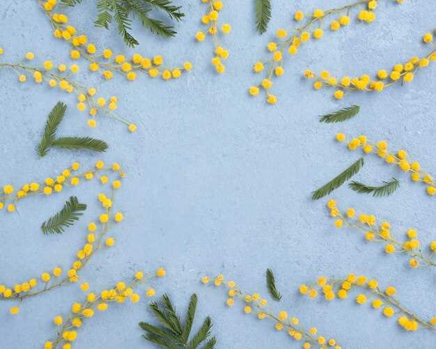 Как правильно молиться и отмечать Вербное воскресенье?