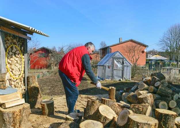 Критерии выбора качественного дерева для строительства