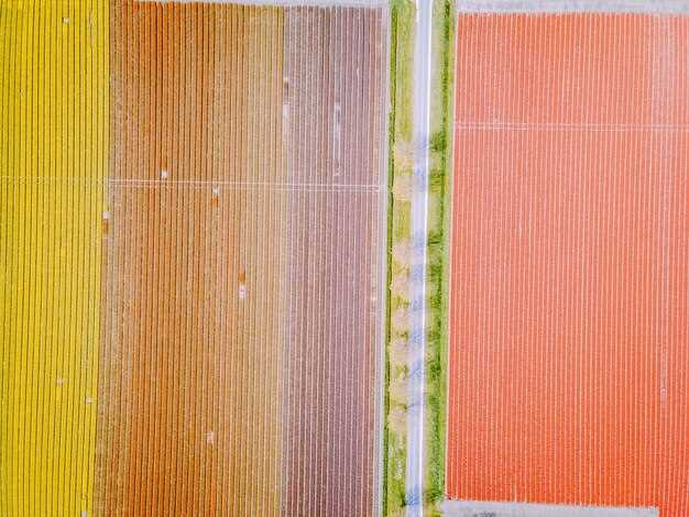 Выбор текстуры обоев: как она влияет на восприятие пространства