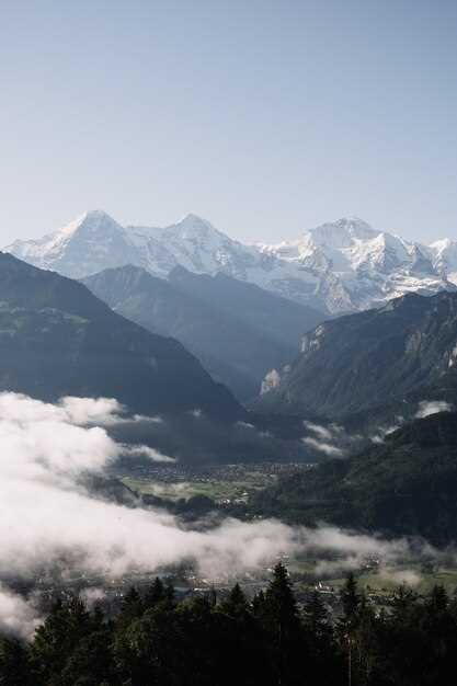 Как высота влияет на климатические условия в горах