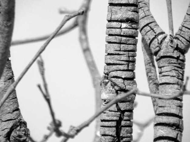 Инструменты и оборудование для точной выверки оси