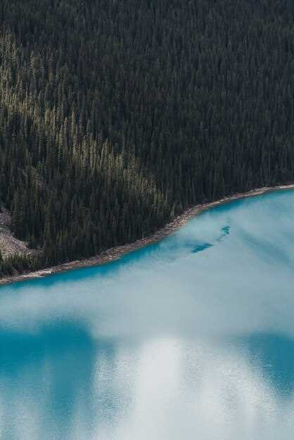 География гор и реки: взаимосвязь рельефа и водных потоков