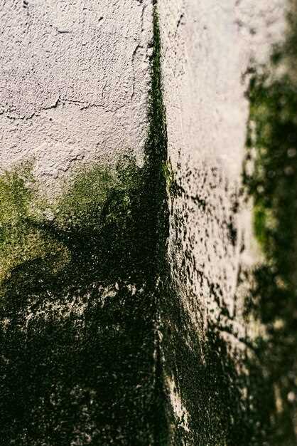 Методы оценки влажности грунта перед строительством