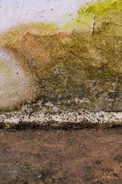 Как избыточная влажность влияет на устойчивость фундамента?