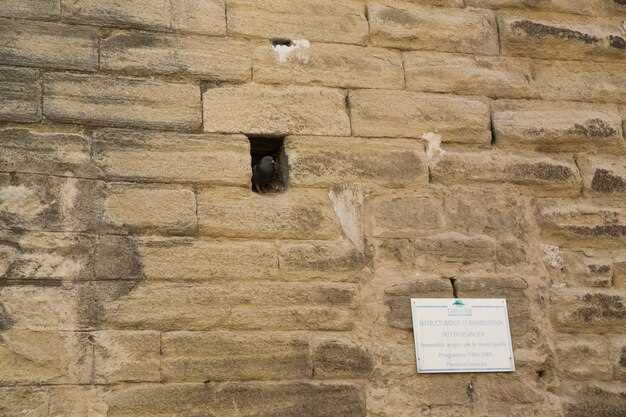 Эстетические решения для оформления внутренних пространств башен