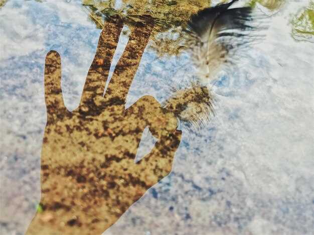 Анализ спорных водных источников: случаи из разных регионов