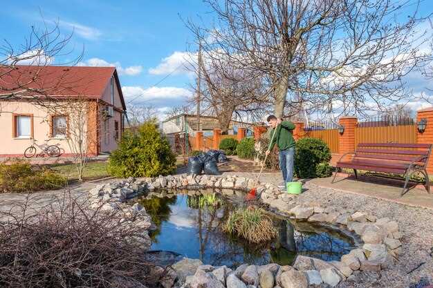 Технологии строительства пруда: материалы и этапы работ