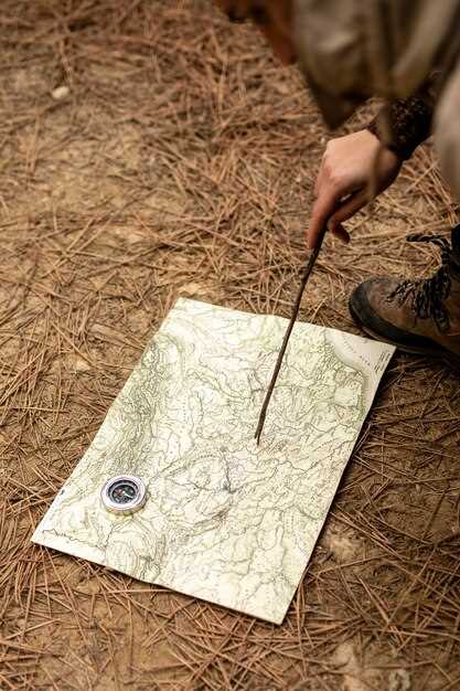 Изучение военных стратегий и их применение в географическом контексте