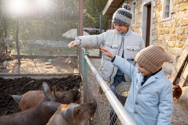 Волонтёрская деятельность в зоопарках