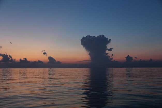 Анализ ядерной политики США и СССР во время Карибского кризиса