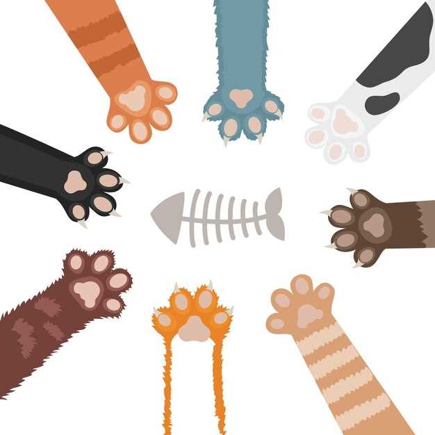 Эволюционные причины поведения: от котенка до взрослой кошки