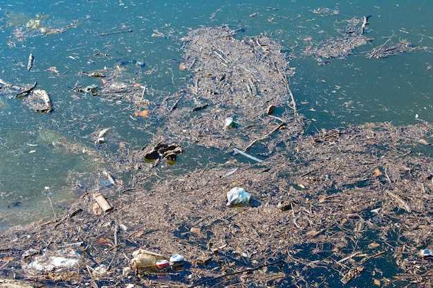 Влияние пластиковых отходов на морскую флору и фауну