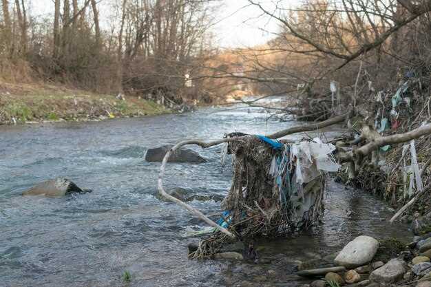Способы защиты водных ресурсов и инициативы по очистке
