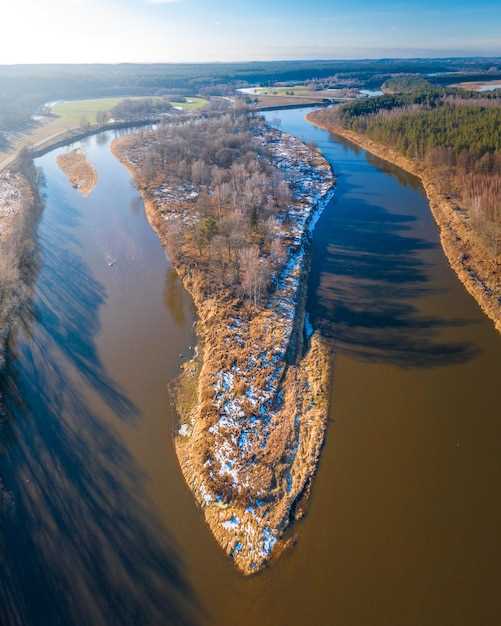 Загрязнение воды и лесов: практические аспекты и решения