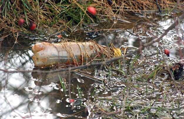 Как загрязнение воды влияет на экосистему и здоровье человека